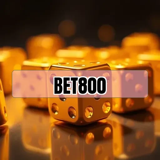 bet800 - Dicas
